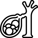 Cholecystitis