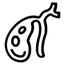 Choledochal Cyst