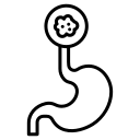 Perforation (Hole)