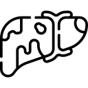 Hydatid Cyst